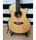 Chaylor Grand Auditorium 914-CE Acoustic Guitar 900 series  